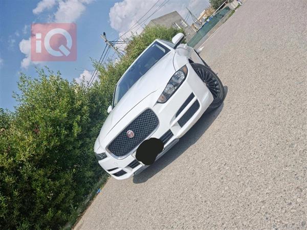 جاکوار   للبيع في العراق